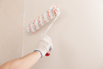 Image showing wall painting roller