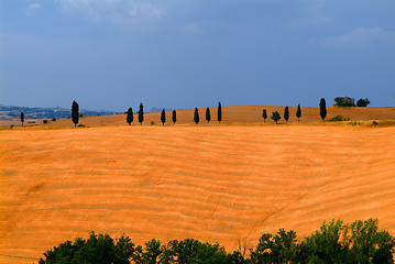 Image showing tuscany