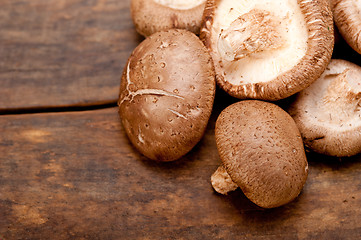 Image showing shiitake mushrooms