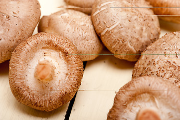 Image showing shiitake mushrooms