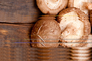 Image showing shiitake mushrooms