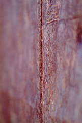 Image showing rusty wall