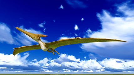 Image showing Flying pterodactyl 