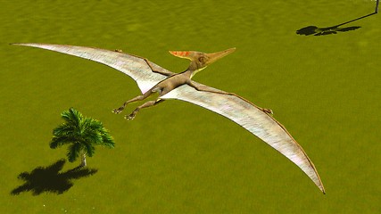 Image showing Flying pterodactyl 