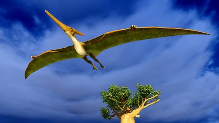 Image showing Flying pterodactyl 