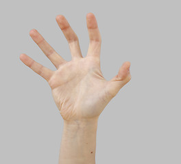 Image showing White hand on perfect gray background