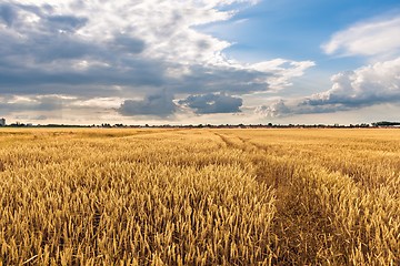 Image showing Cultivated land with cloudy sky