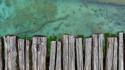 Image showing Closeup photo of wooden floor panels