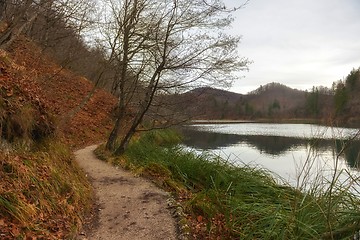 Image showing Small Pathway going trough the forest