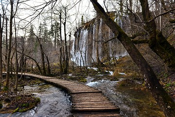 Image showing Wooden path trough the lakes