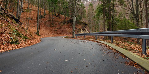 Image showing Road in autumn forest landscape