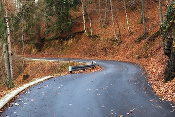 Image showing Road in autumn forest landscape