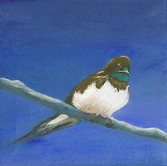 Image showing Painting, adult swallow 