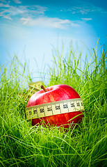 Image showing Apple on the grass