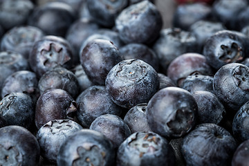 Image showing Blueberries background