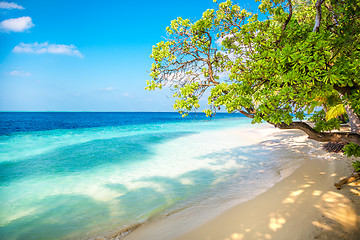 Image showing Maldives beach