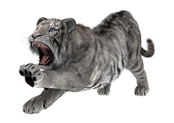 Image showing White Tiger