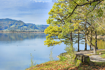 Image showing park at lake Kochelsee