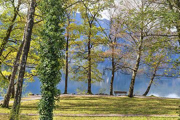 Image showing park at lake Kochelsee