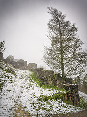 Image showing Ruin Hohenfreyberg