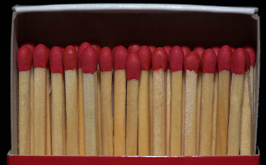 Image showing Match sticks in a row
