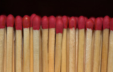 Image showing Match sticks in a row