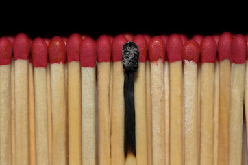 Image showing Match sticks in a row