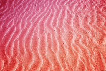 Image showing Beach with soft sand