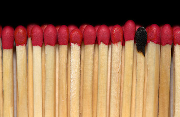 Image showing Match sticks in a row