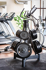 Image showing Barbell plates rack in the gym