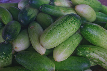 Image showing Fresh green cucumber collection on market