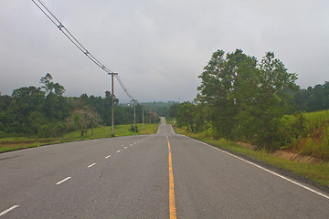 Image showing Road in a green forest