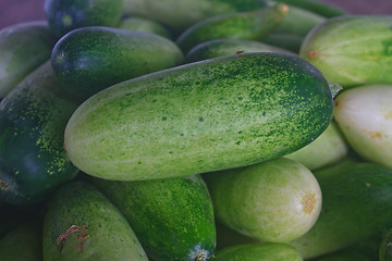 Image showing Fresh green cucumber collection on market