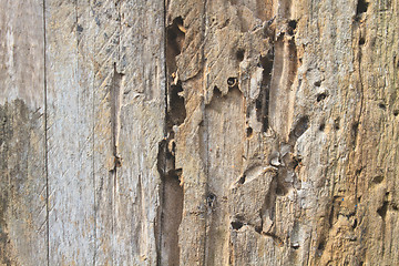 Image showing close up dark brown wood texture 