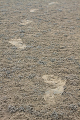 Image showing Footprint on sand