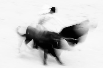 Image showing Bullfighting