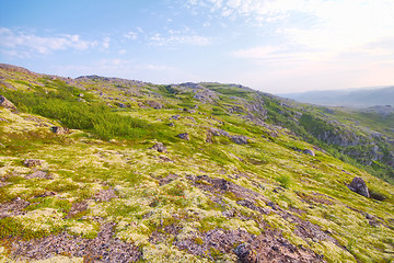 Image showing polar hills Scandinavian tundra in summer