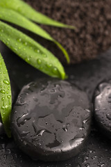 Image showing Green leaf on spa stone on wet black surface