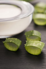 Image showing aloe vera - leaves and cream