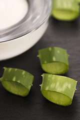 Image showing aloe vera - leaves and cream