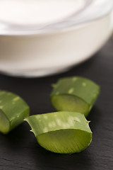 Image showing aloe vera - leaves and cream