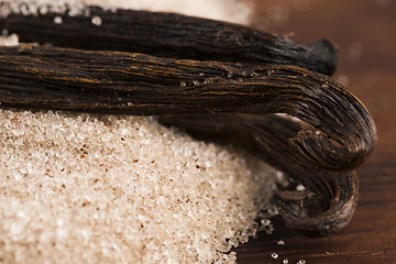 Image showing vanilla sugar and vanilla beans