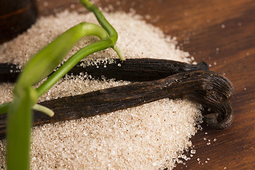 Image showing vanilla sugar and vanilla beans
