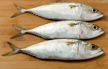 Image showing Three small fishes