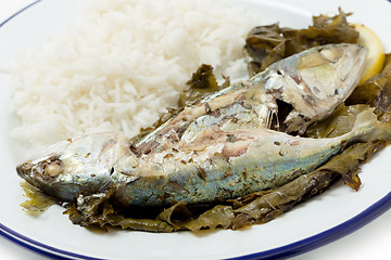 Image showing Fish in vine leaves