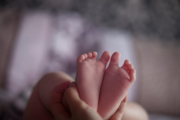 Image showing Newborn baby feet