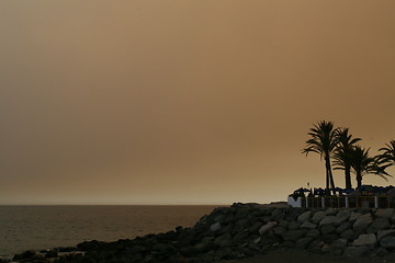 Image showing Palm trees on fire