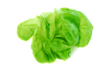 Image showing Boston lettuce