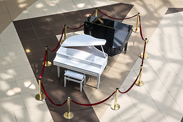 Image showing Black and white grand pianos