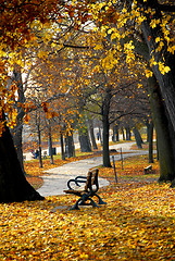 Image showing Autumn park